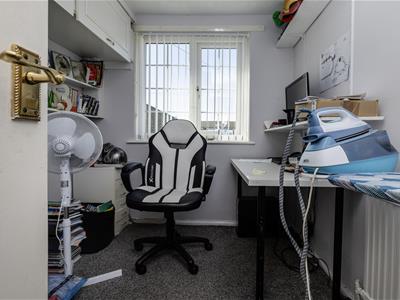 Picture 25